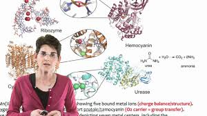 faithchepngetich.gnomio.com